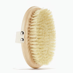 Body Brush T312