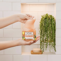 Shea Sugar Scrub Ginger & Ginseng -538g