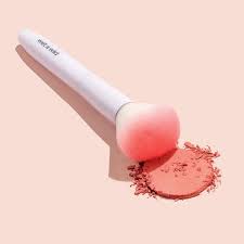 Powder Brush